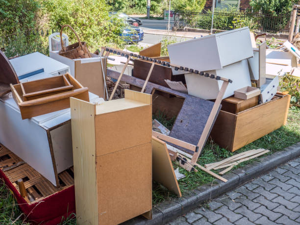 Yard Cleanup Services in Lafayette, CO